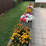 Park بيناتكي آند جيزيرو